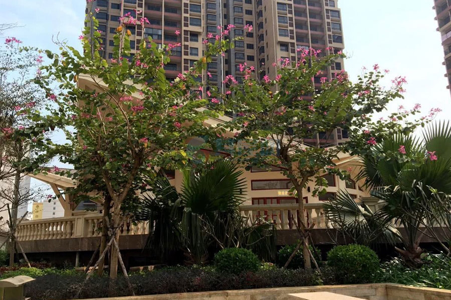 社区实景拍摄